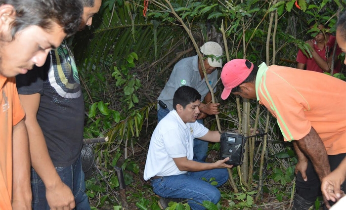 Instalan En Atl Ntida C Maras Para Monitorear Especies En Peligro De