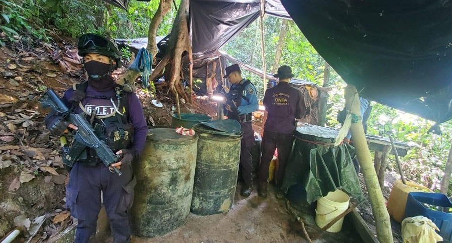 M S Plantaciones De Coca Y Narcolaboratorio Hallan En Iriona Proceso