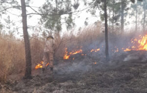 Autoridades Descartan Tesis Que Incendio En La Tigra Se Provoc Con