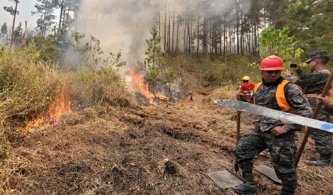 Honduras Registra Incendios Afectando Unas Hect Reas En Lo