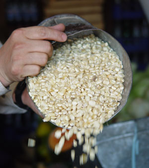 En más de 200 lempiras sube la carga de maíz, denuncian productores |  Proceso Digital