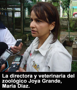 vieja