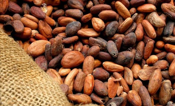 Cacao colombia