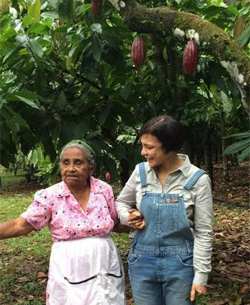 cacao-en-arbol