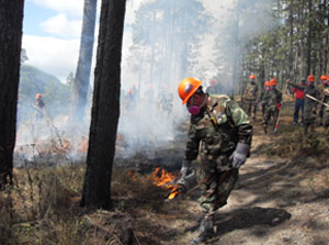 campaña de incendios