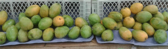 mangos