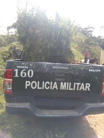 policia militar marihuana