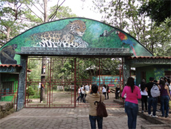 zoologico