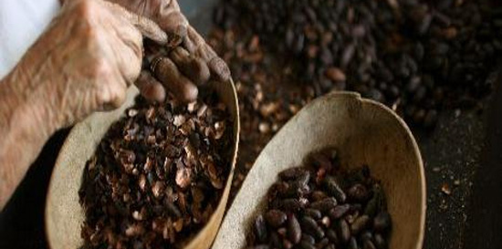cacao-en-hnd