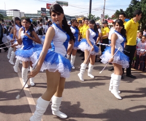 palillonas 2015