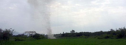 pista12312