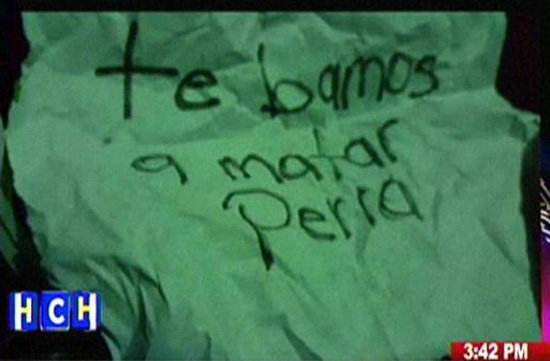 texto-a-Elsa