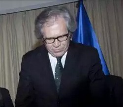 Almagro OEA