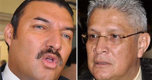 diputados de libre