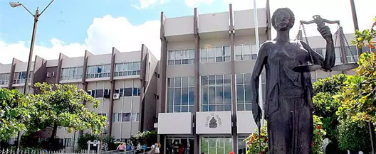 consejo judicatura csj