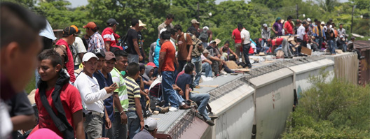tren de la bestia