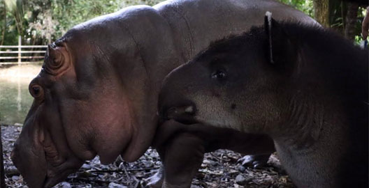 Juancho y Paquita