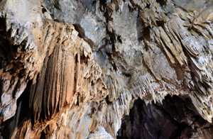talgua2