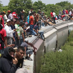 ruta migratoria
