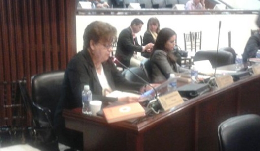 Diputada Gutiérrez denuncia que no votó en contrato de Palmerola por asignación de otras tareas