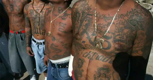 Pandilleros