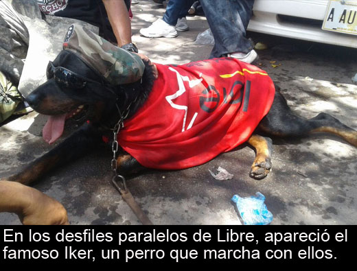 Curiosidades Desfiles4