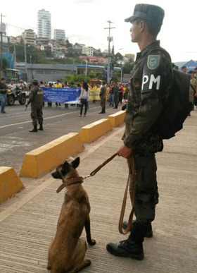 seguridadcarnaval