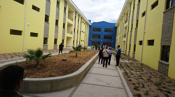 ITP principal