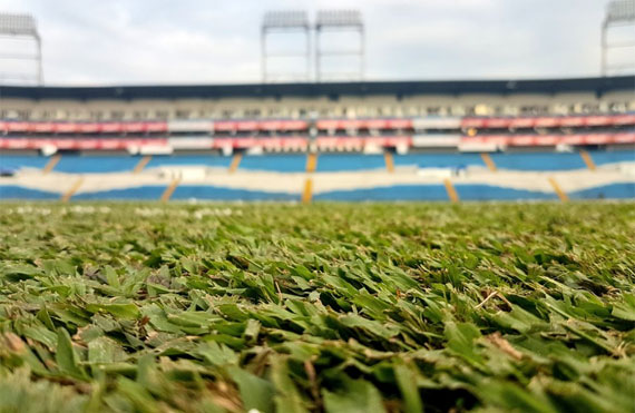 estadio Olimpico