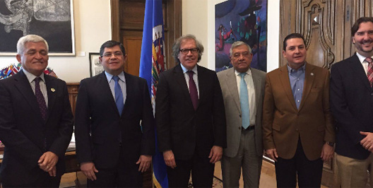 OEA poli