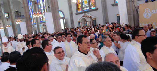 Cardenal2