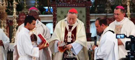 Cardenal3