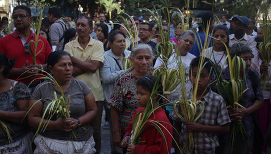 domingo de ramos