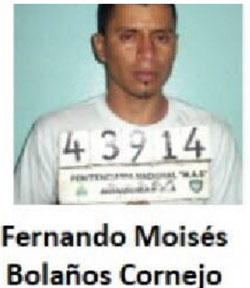 moises