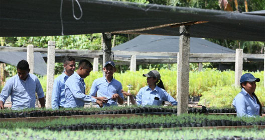 plantas2