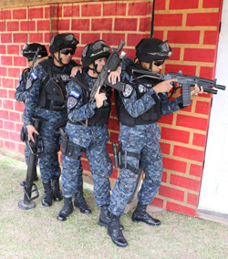 tigres en operacion