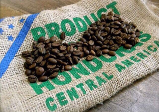 cafe hondureño