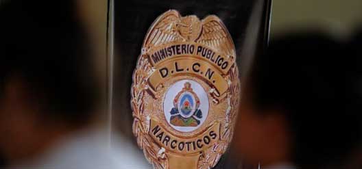 DLCN100