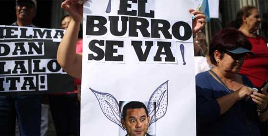 el burro se va
