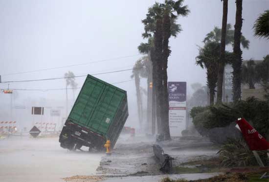 harvey 3