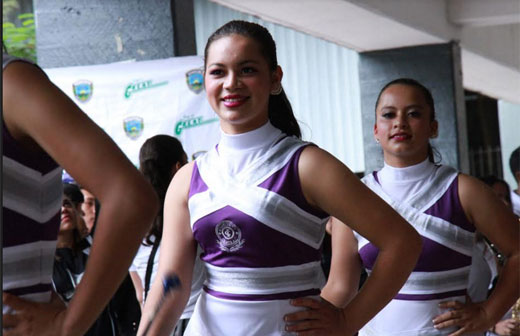 pali completa