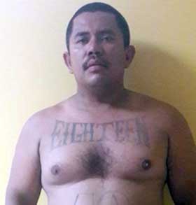 pandillero mexicano