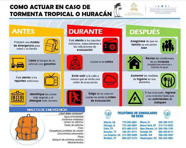 info irma 1