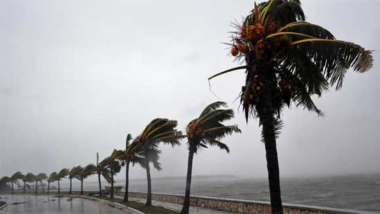 irma 2
