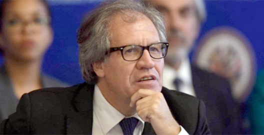 Luis A OEA