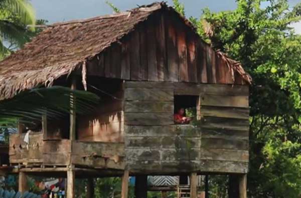 Mosquitia casa