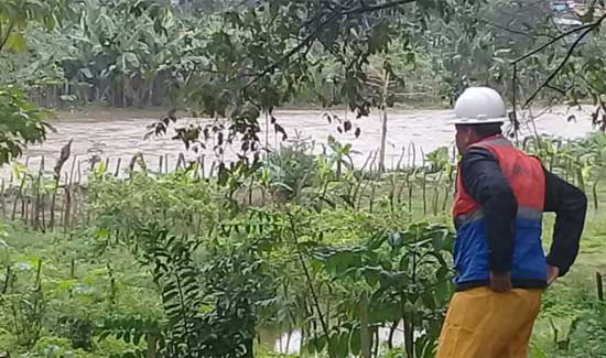 alerta amarilla