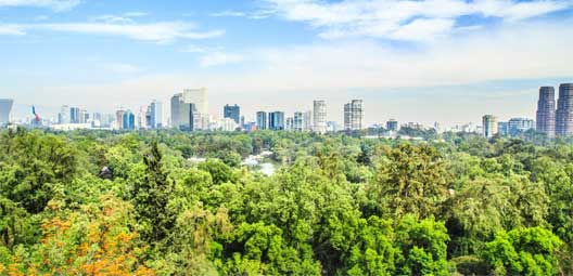 bosques urbanos2