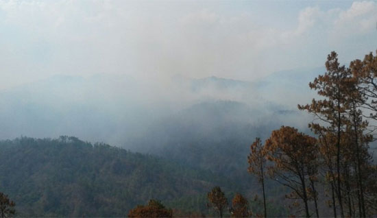 incendioUYU