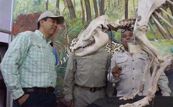 Reinaldo en casa blanca